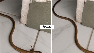 اخو زوجى حكايات زهرة 