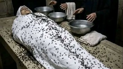 خربشه تحت البلاط بقلم اوروليس 