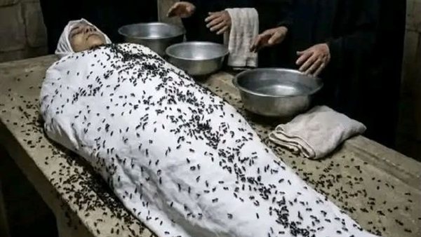 لمحة نيوز